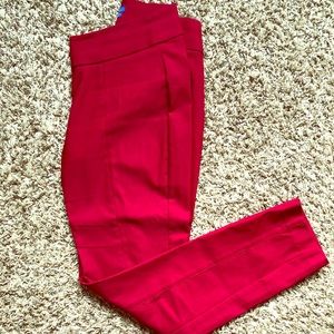 Cranberry Pull On Dress Pants